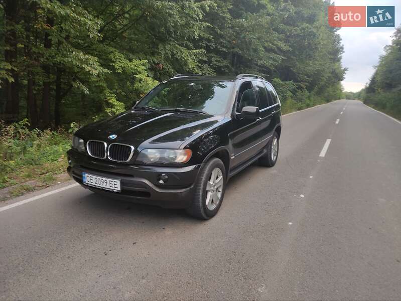 Позашляховик / Кросовер BMW X5 2002 в Хотині фото 7 Позашляховик / Кросовер BMW X5 2002 в Хотині