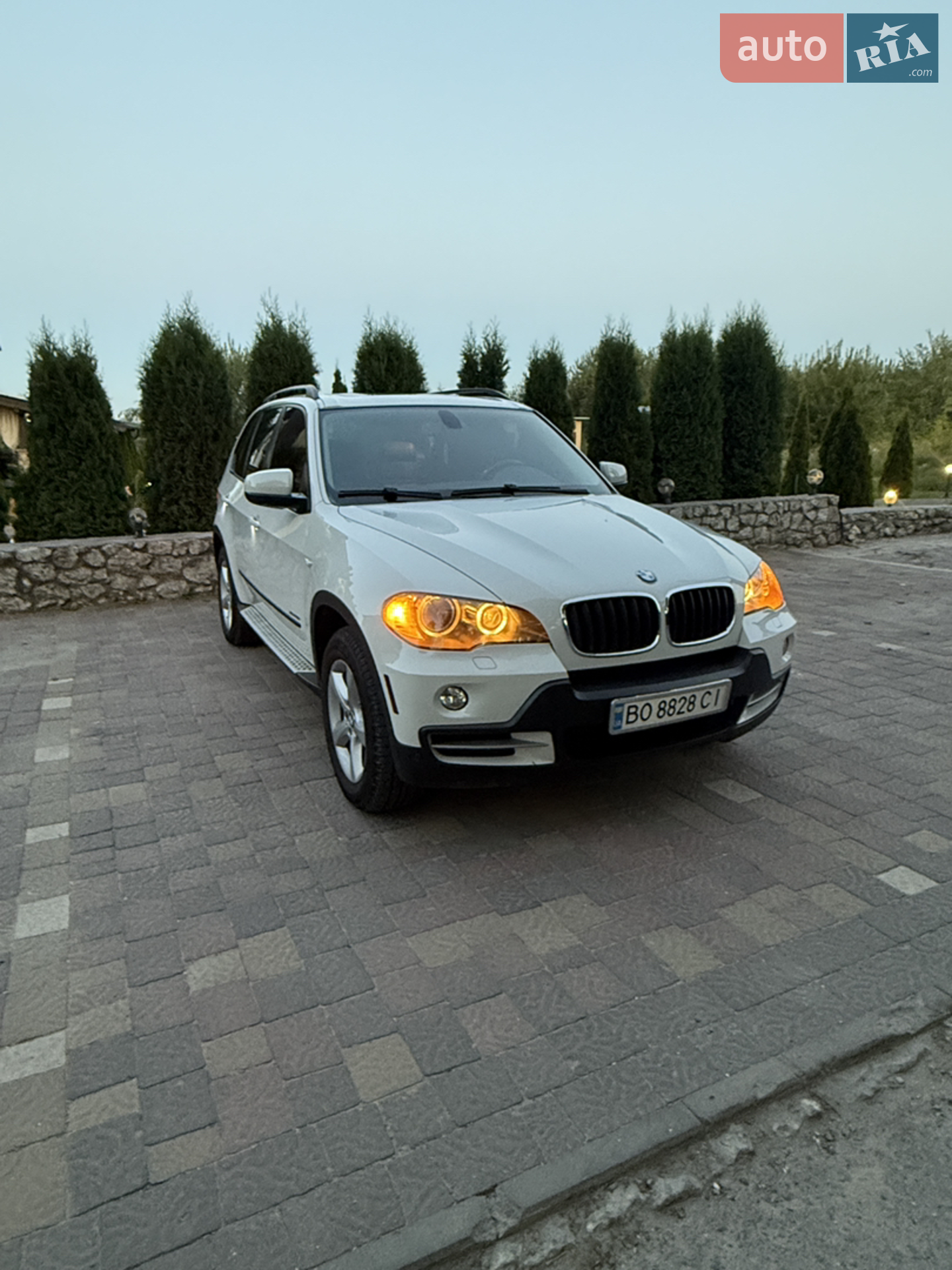 2010 BMW X5 - мініатюра 6