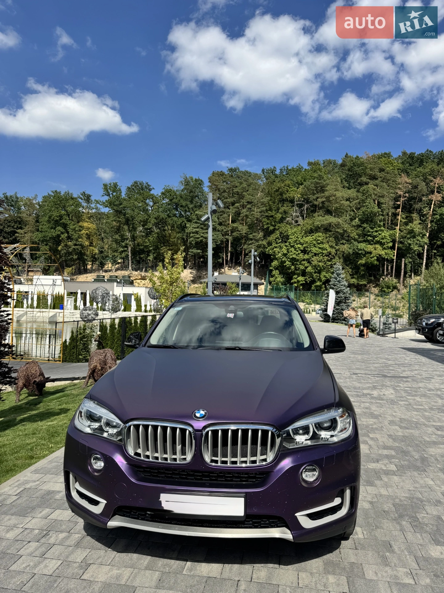 2015 BMW X5 - мініатюра 31