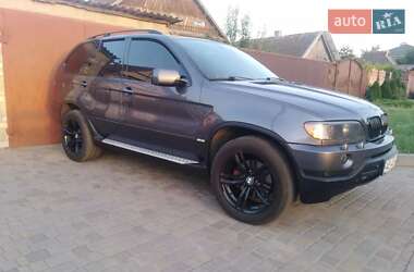 Позашляховик / Кросовер BMW X5 2003 в Кривому Розі