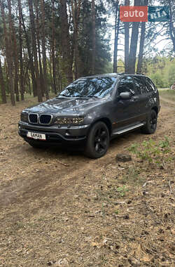 Внедорожник / Кроссовер BMW X5 2002 в Ахтырке