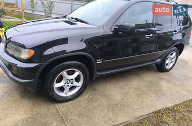 Позашляховик / Кросовер BMW X5 2003 в Чернівцях