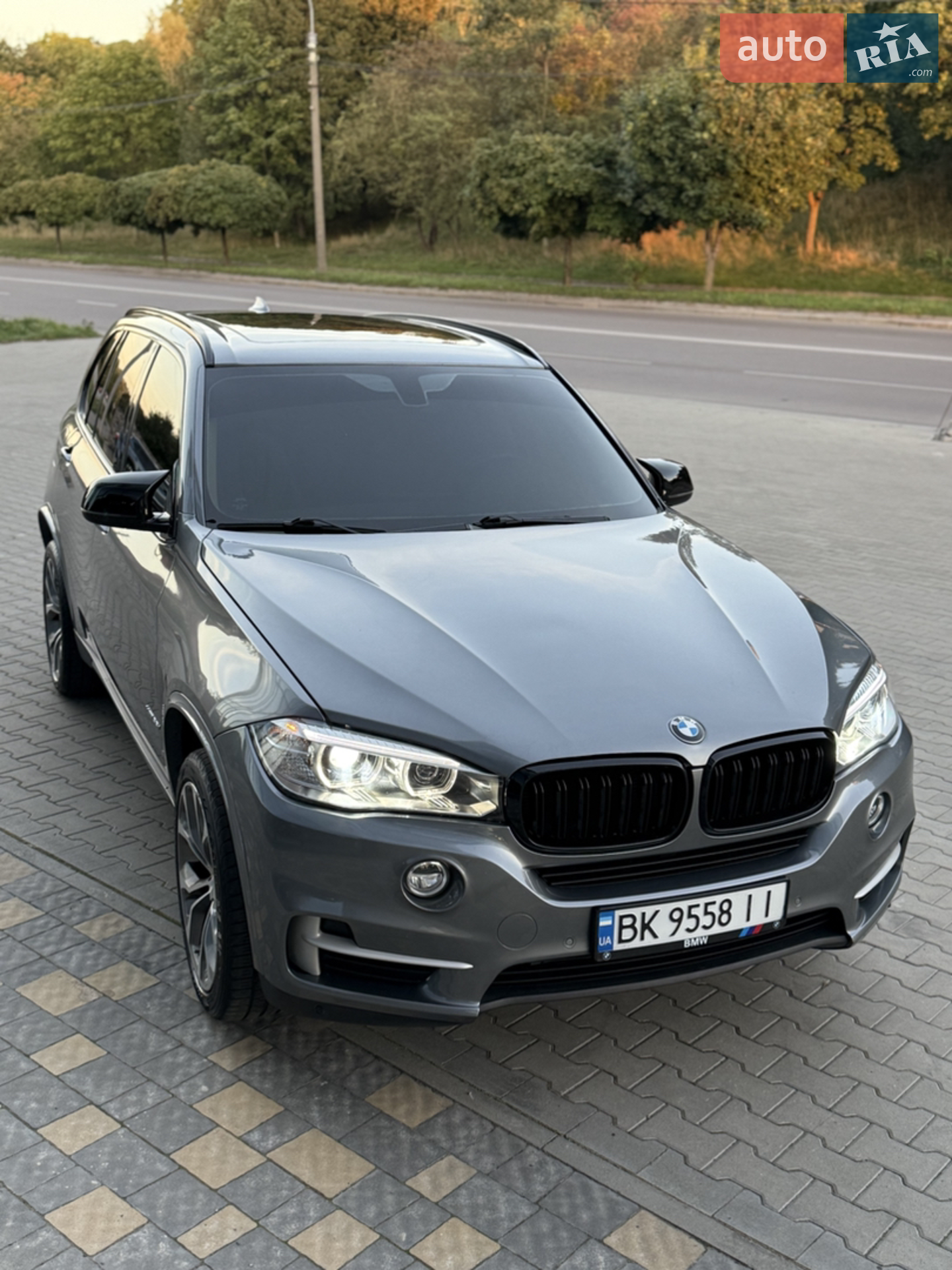 2016 BMW X5 - мініатюра 10