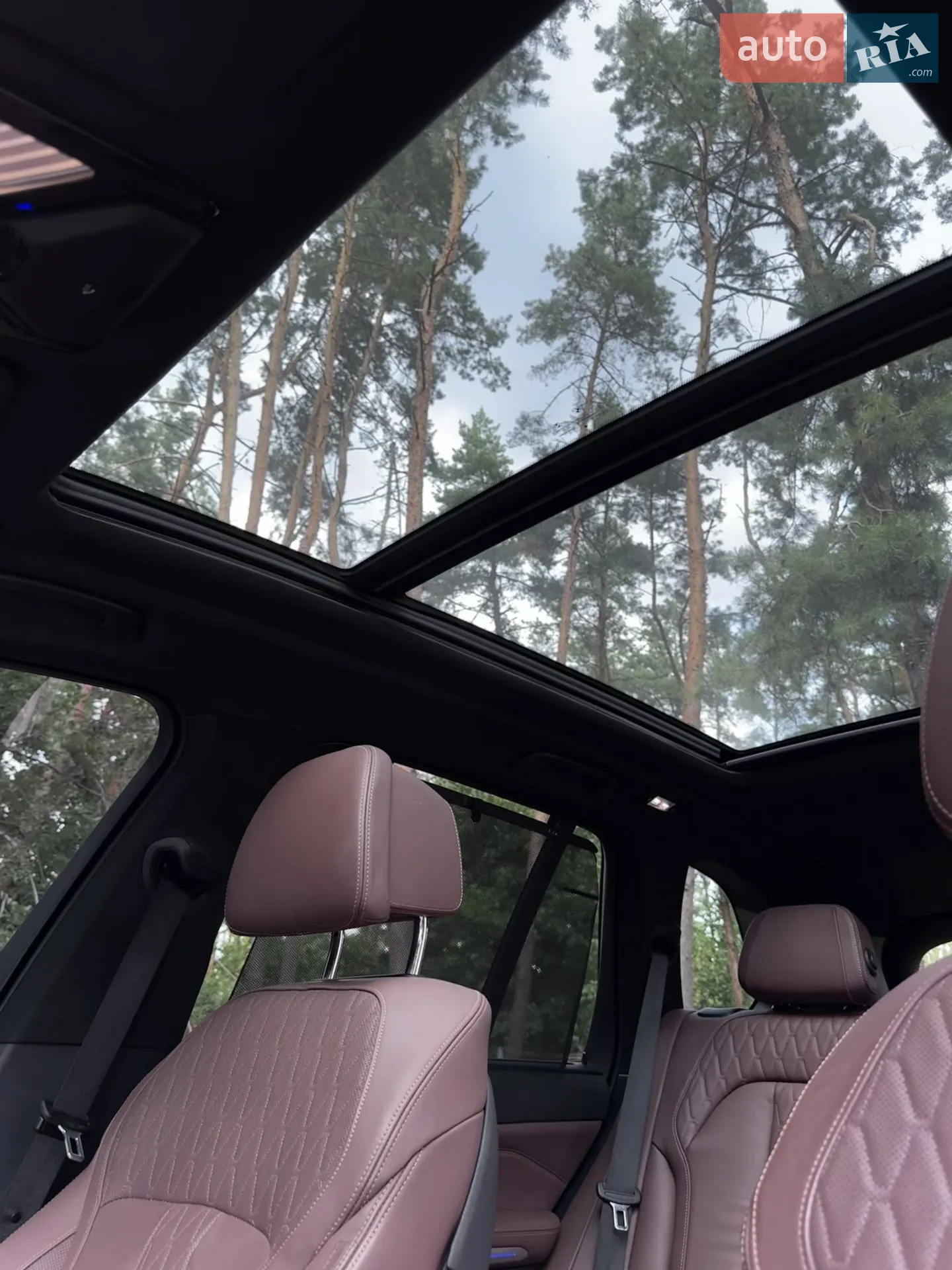 2019 BMW X5 - мініатюра 28