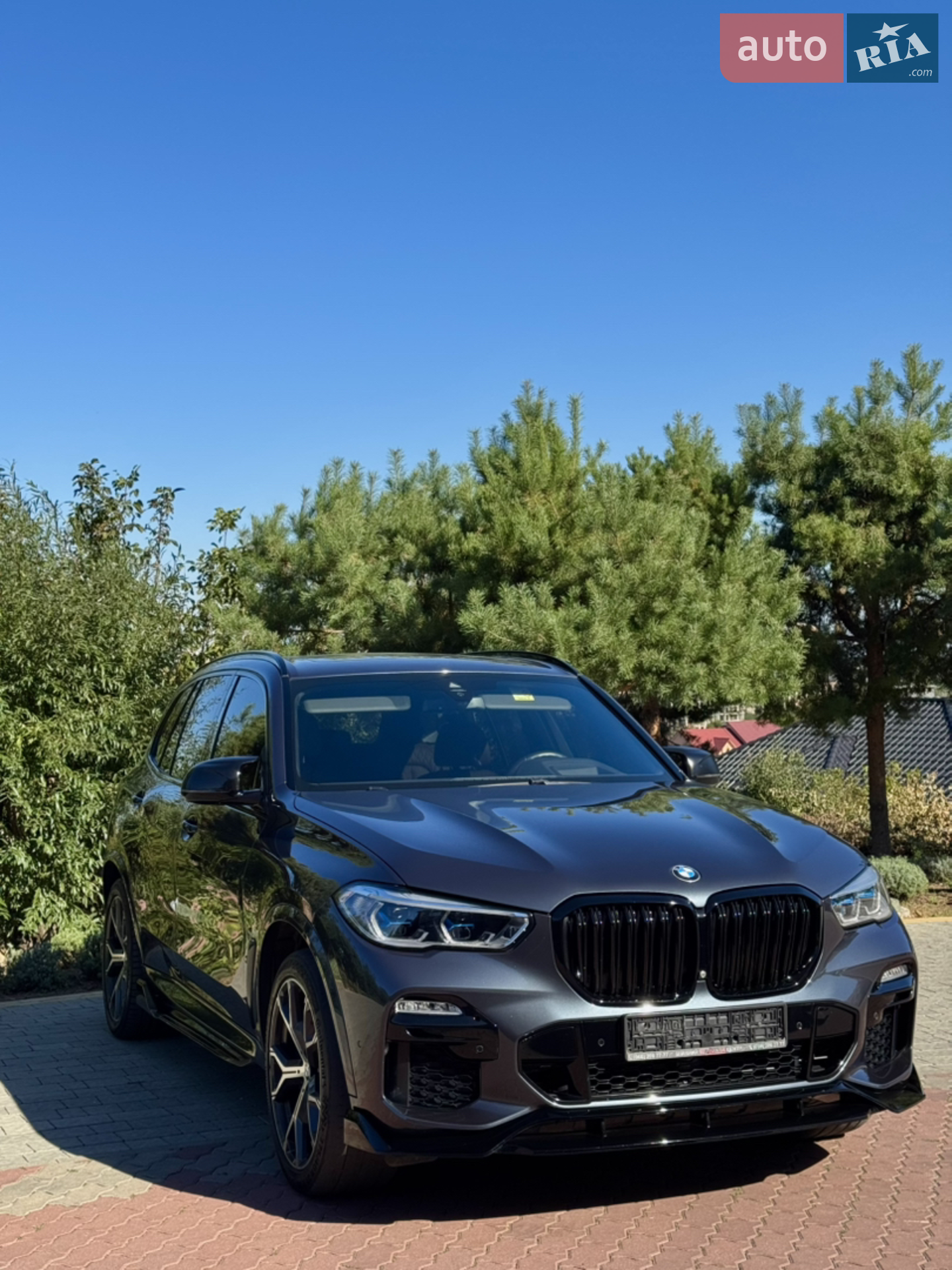 2019 BMW X5 - мініатюра 2