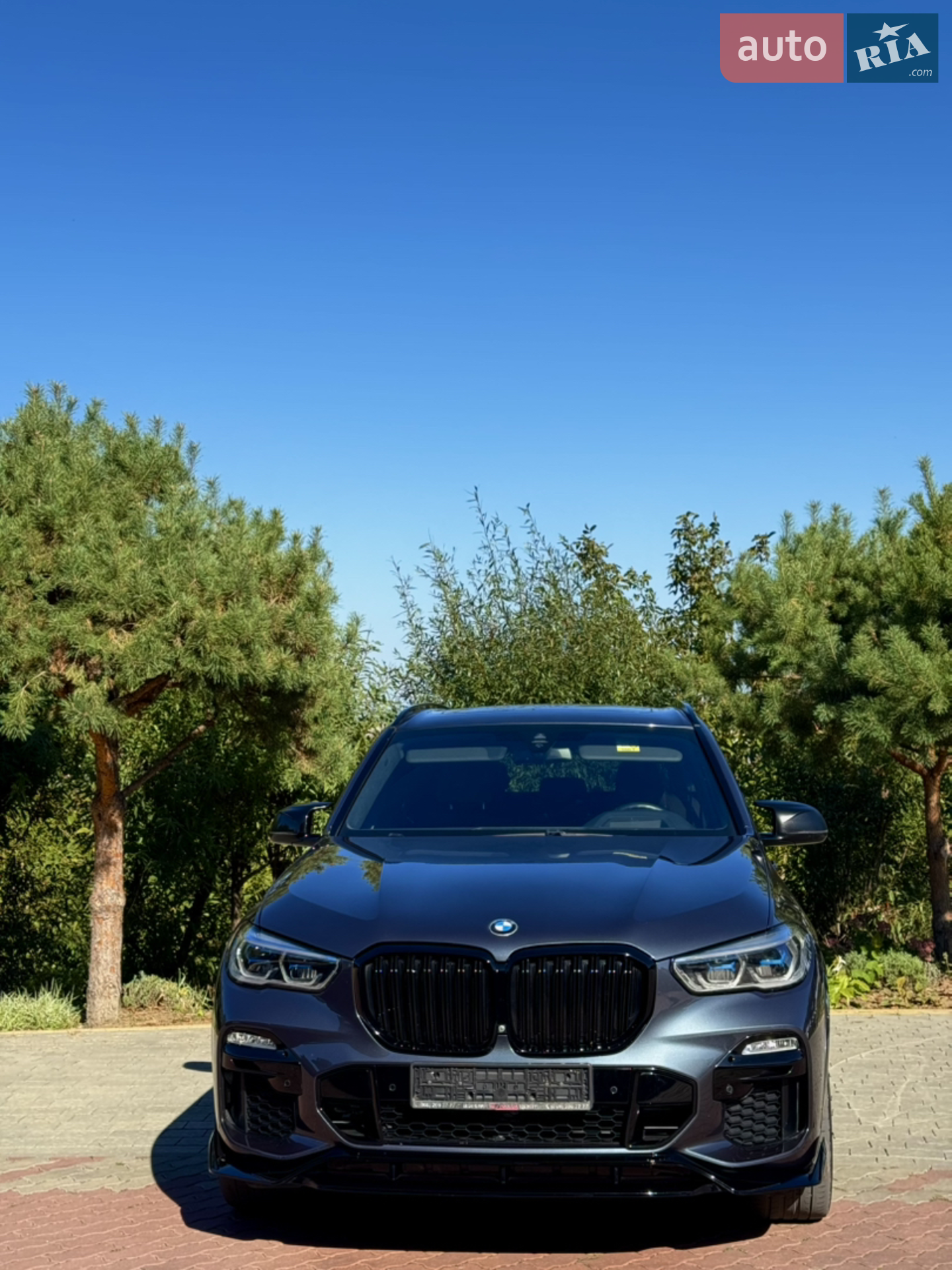 2019 BMW X5 - мініатюра 3