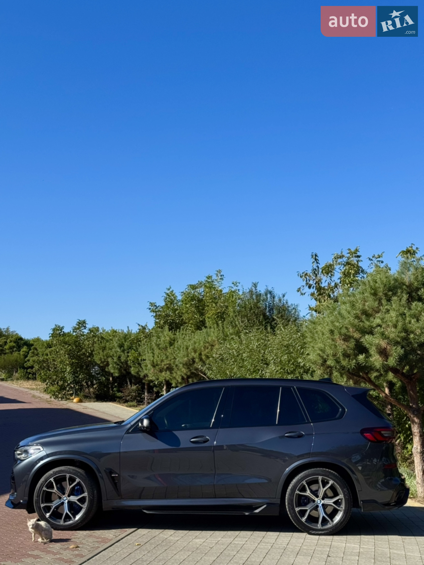2019 BMW X5 - мініатюра 7