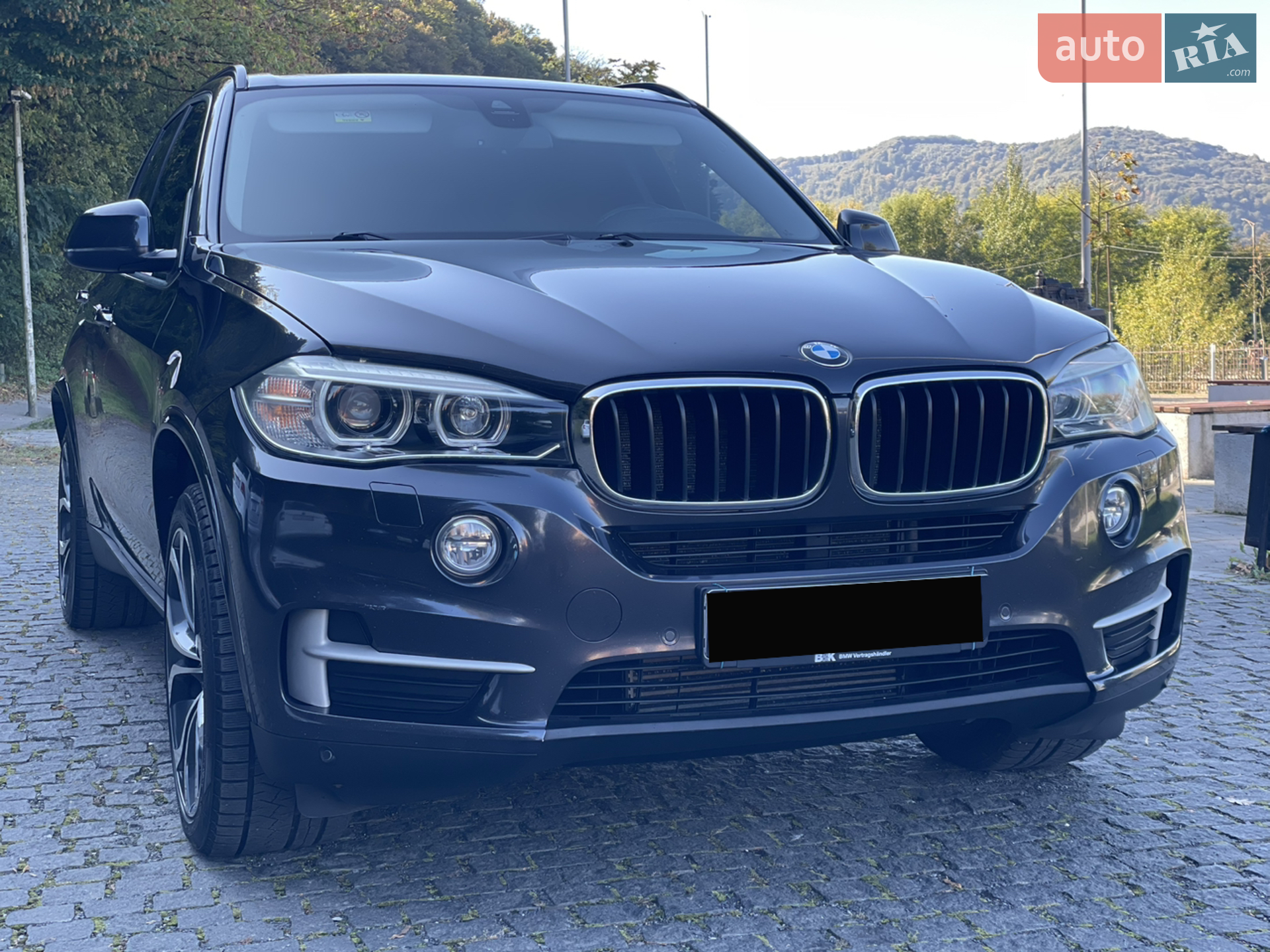 2014 BMW X5 - мініатюра 7