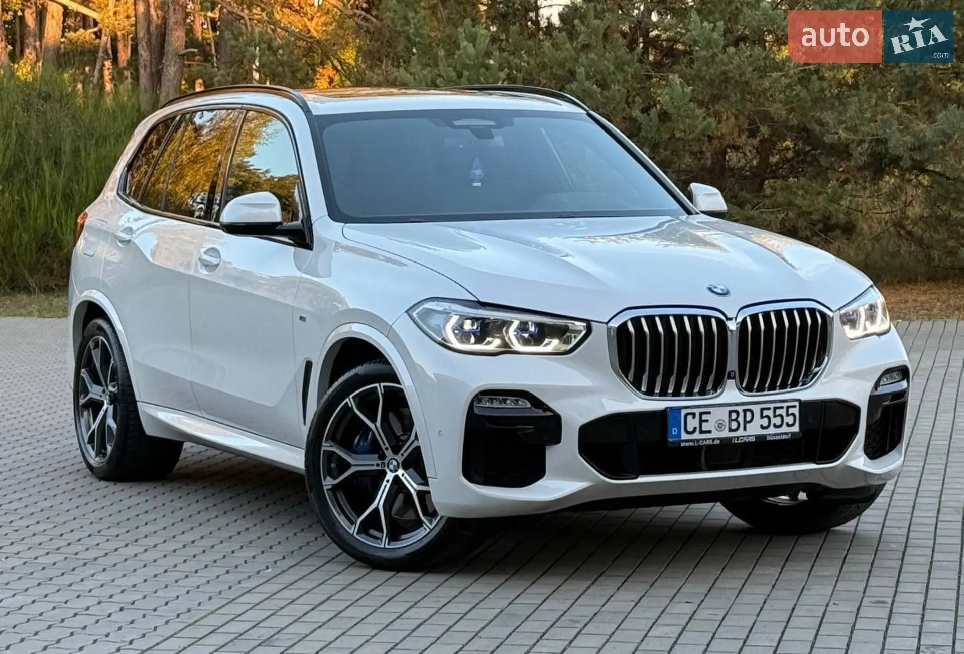 2020 BMW X5 - мініатюра 8