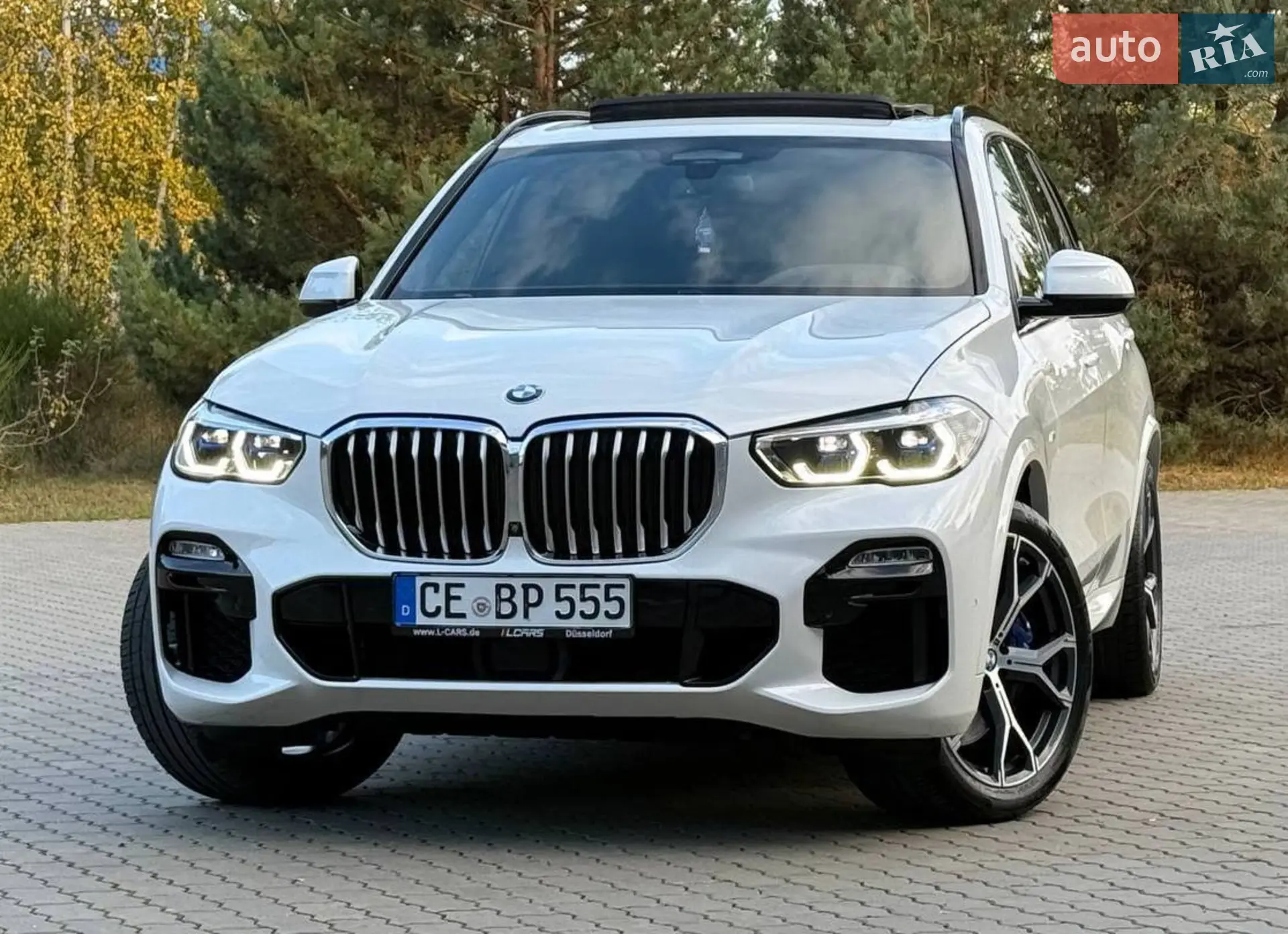 2020 BMW X5 - мініатюра 10
