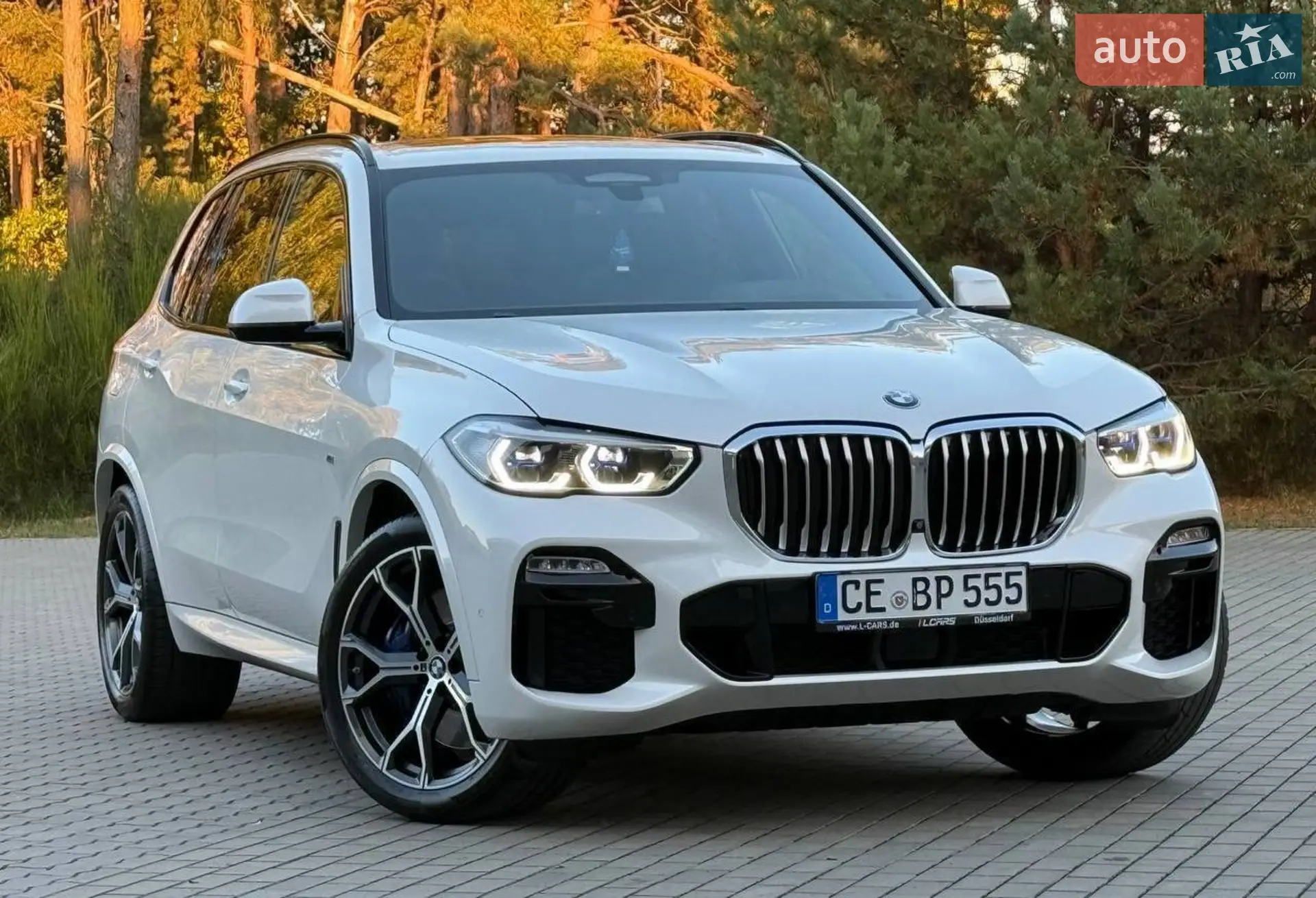 2020 BMW X5 - мініатюра 11