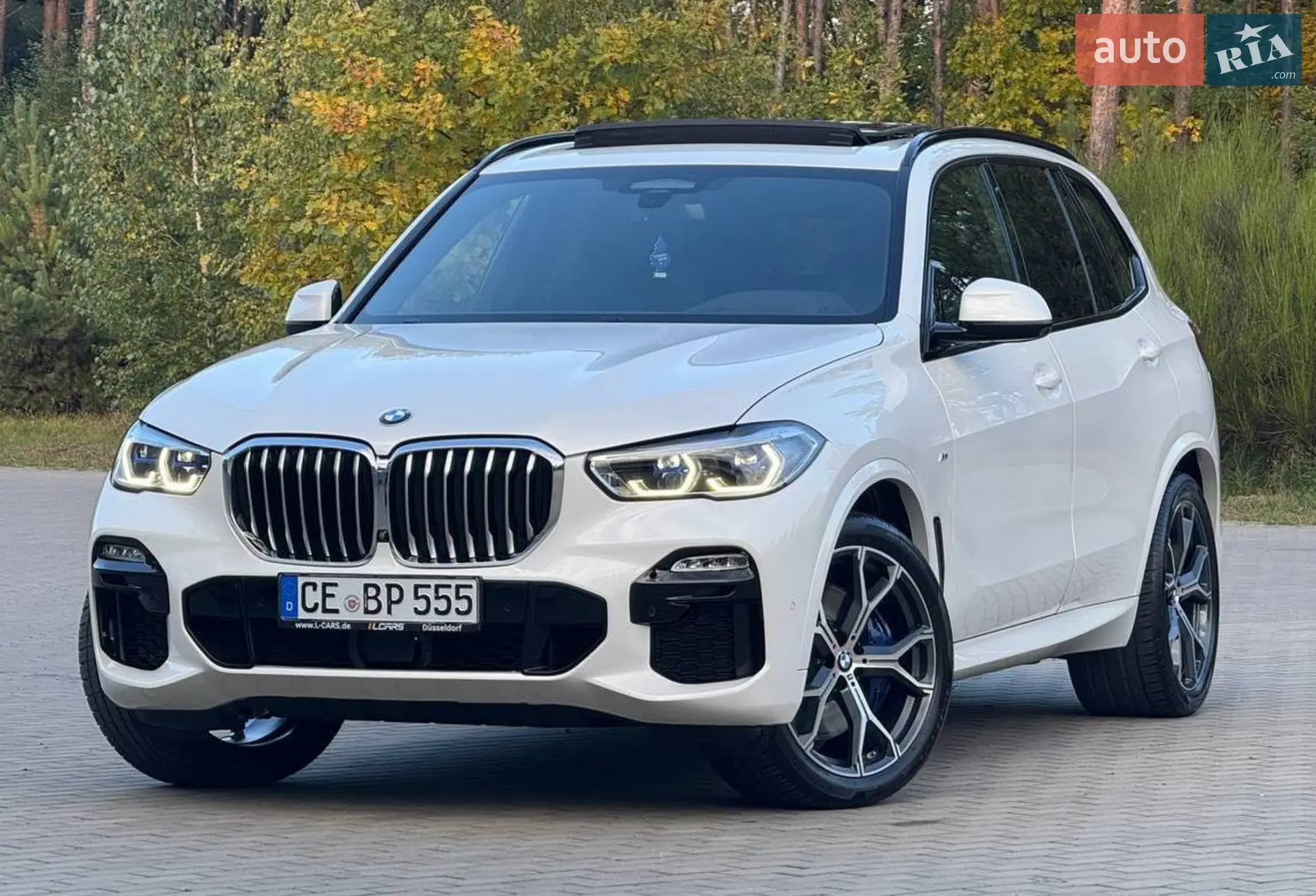 2020 BMW X5 - мініатюра 20