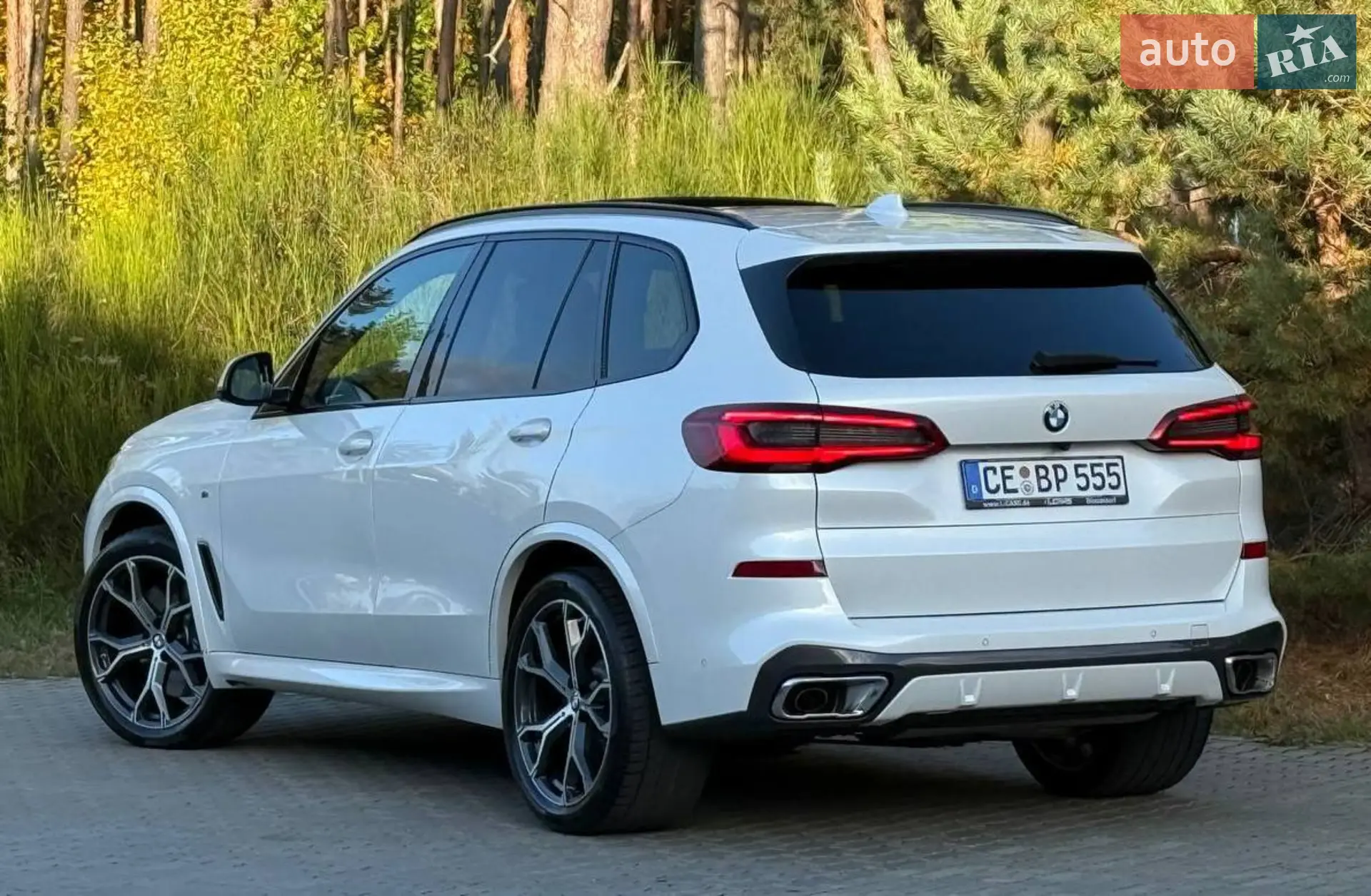 2020 BMW X5 - мініатюра 28