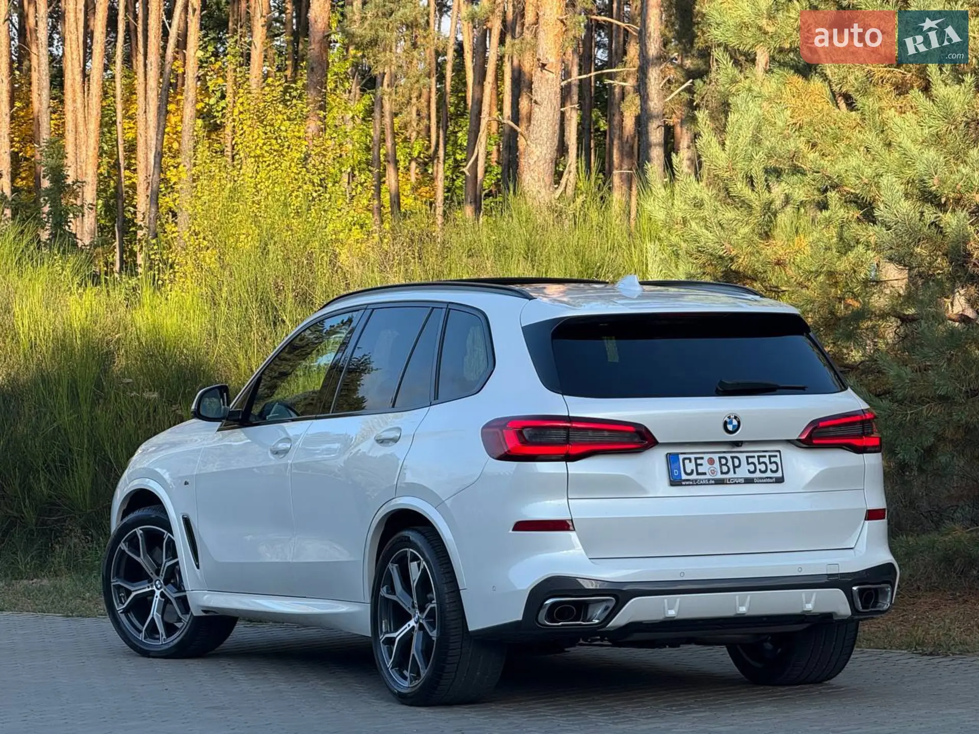 2020 BMW X5 - мініатюра 32