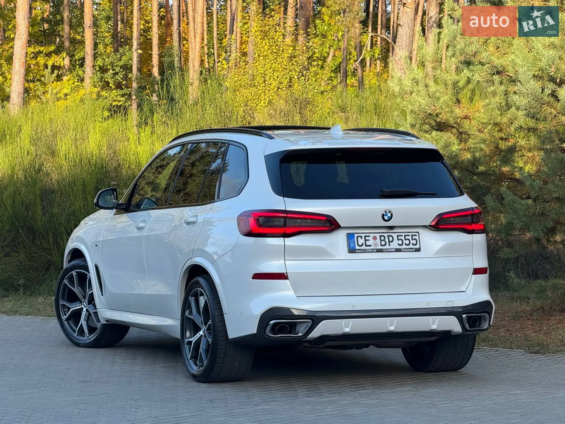 2020 BMW X5 - мініатюра 33