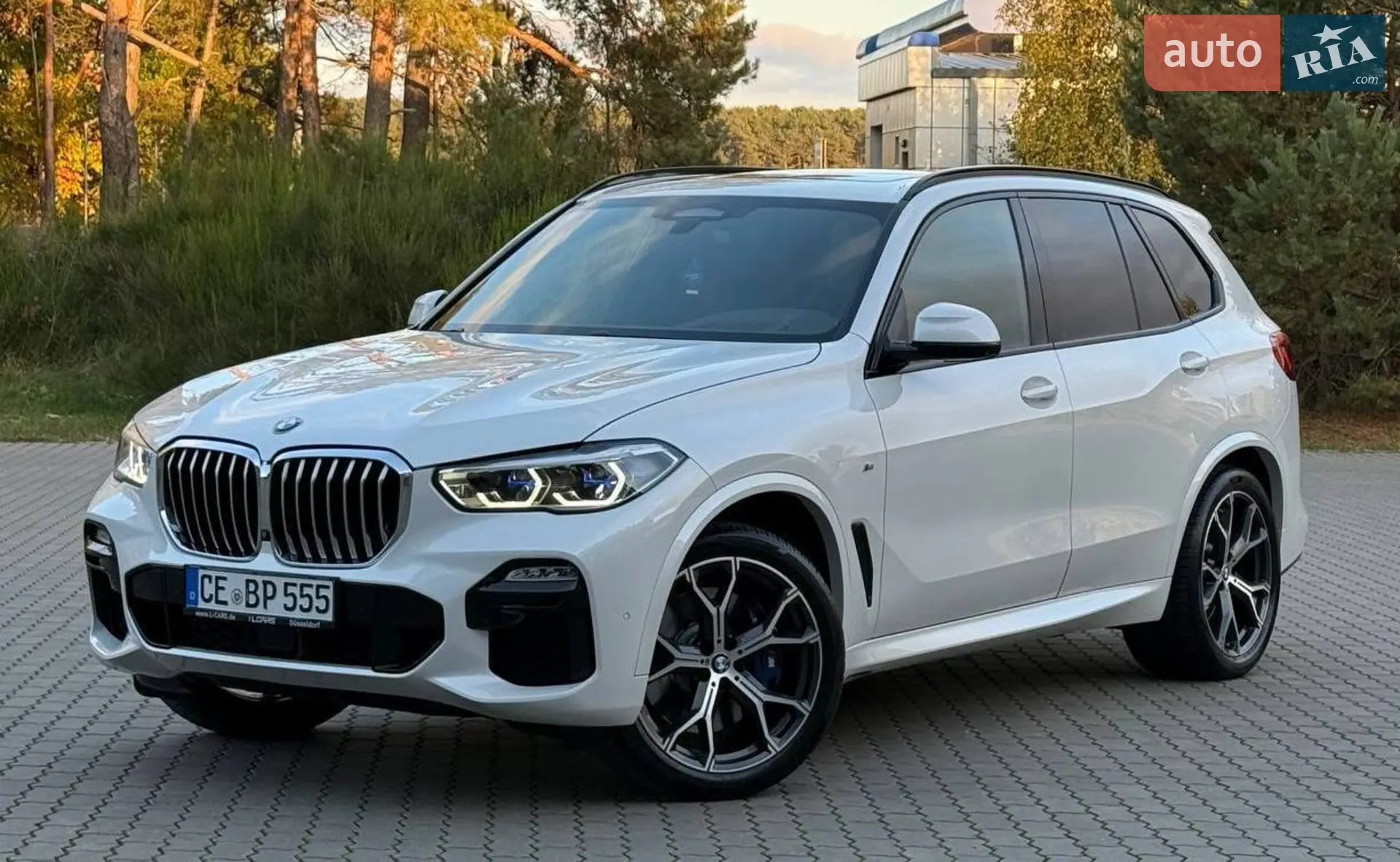 2020 BMW X5 - мініатюра 92
