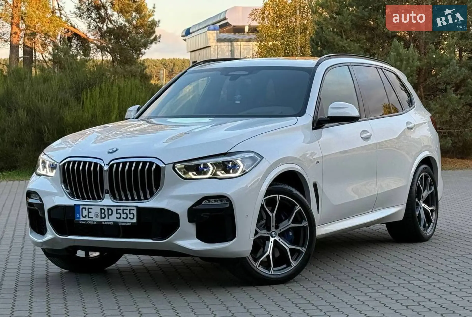 2020 BMW X5 - мініатюра 95