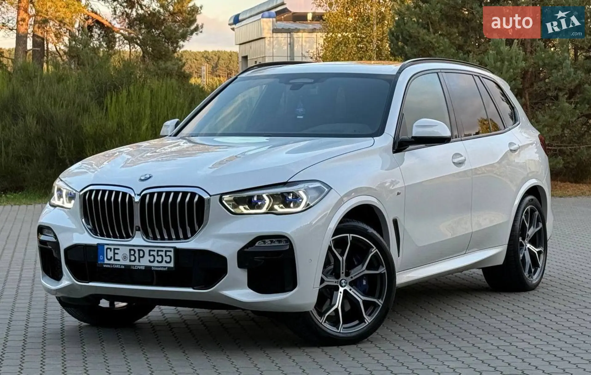 2020 BMW X5 - мініатюра 96