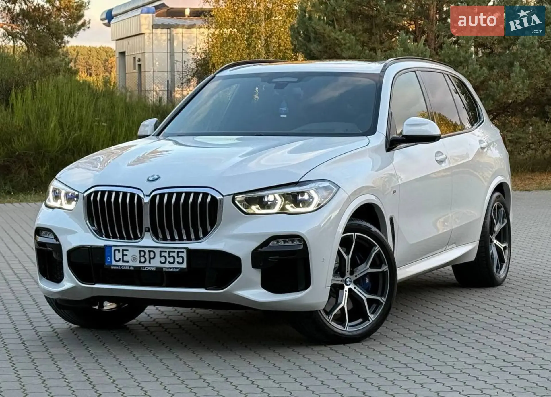 2020 BMW X5 - мініатюра 97