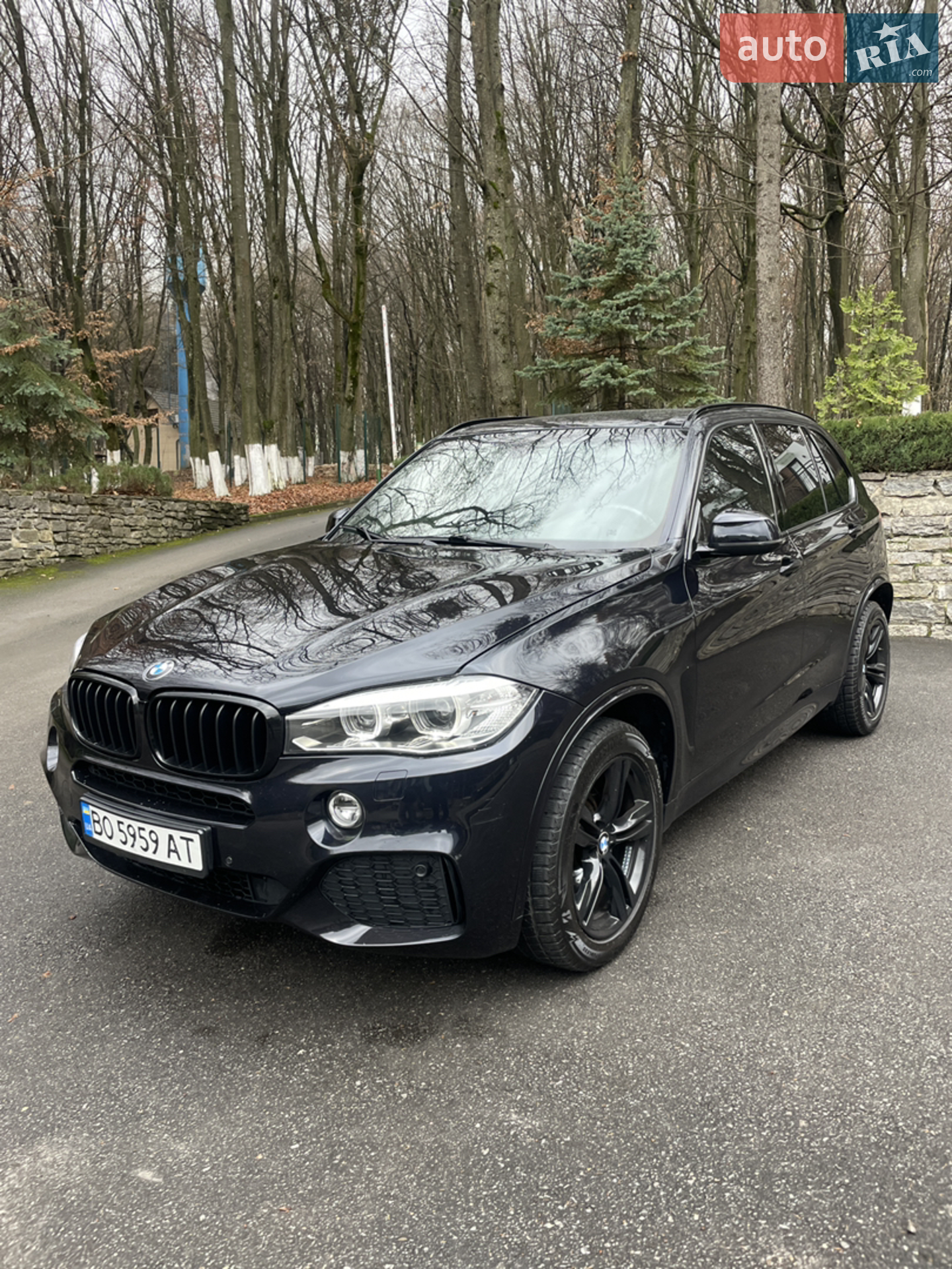 2015 BMW X5 - мініатюра 3