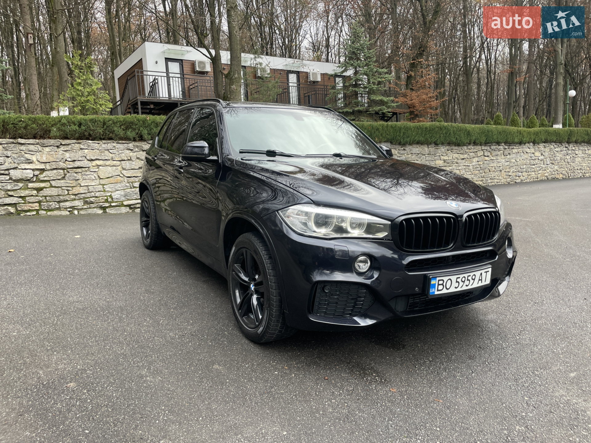 2015 BMW X5 - фото 1
