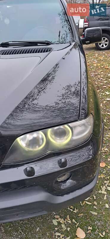 Внедорожник / Кроссовер BMW X5 2004 в Киеве