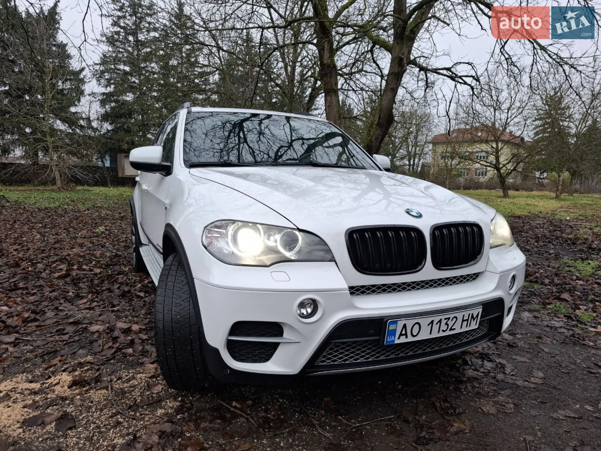 2010 BMW X5 - фото 1