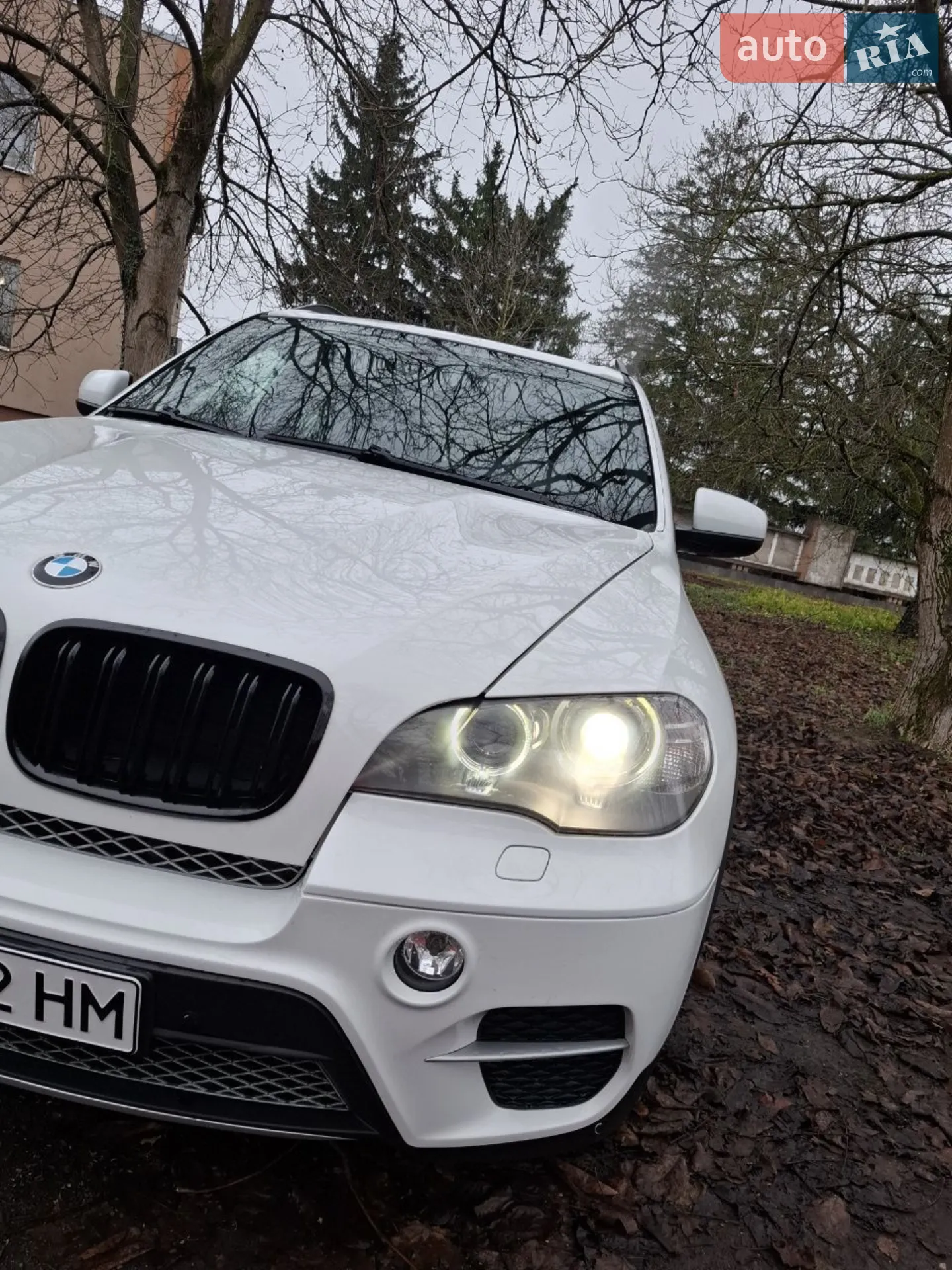 2010 BMW X5 - мініатюра 8