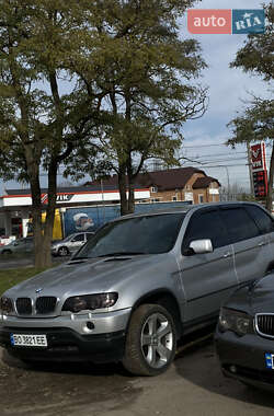 Внедорожник / Кроссовер BMW X5 2001 в Новониколаевке
