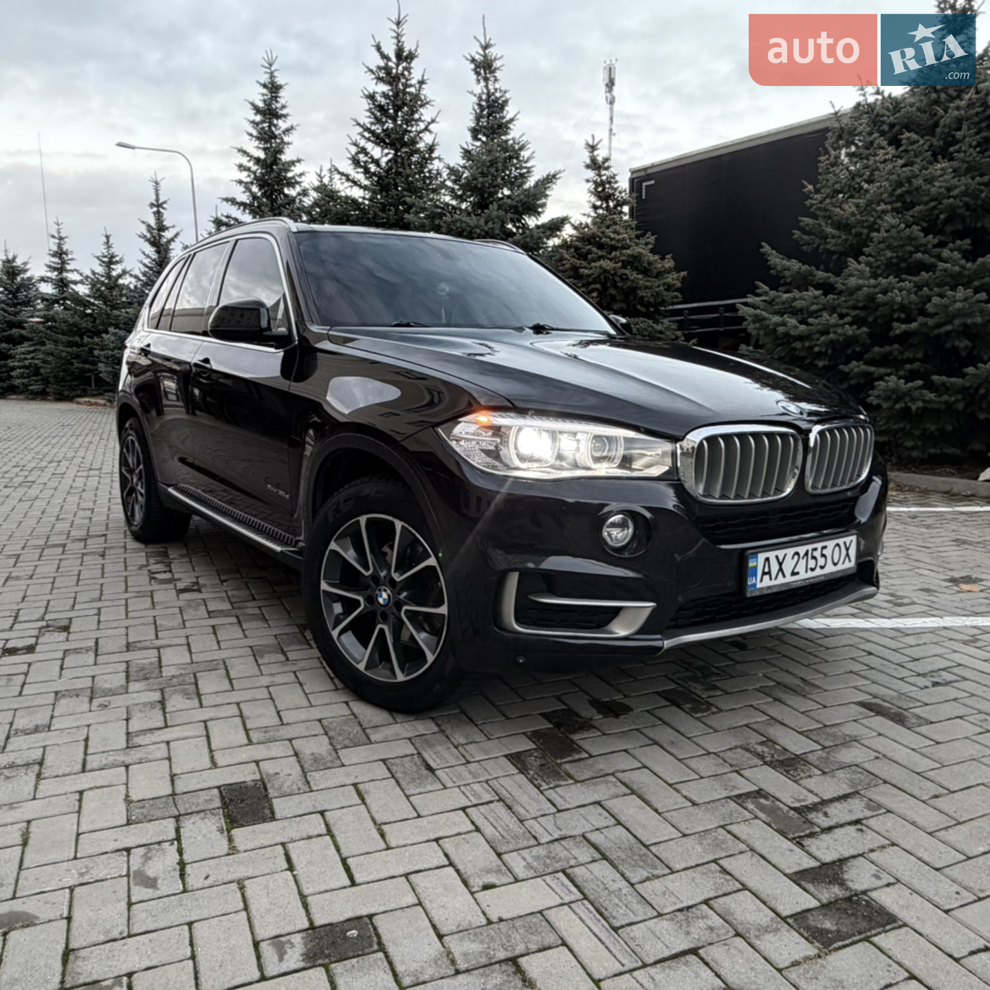2014 BMW X5 - мініатюра 2