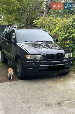 Внедорожник / Кроссовер BMW X5 2002 в Ивано-Франковске
