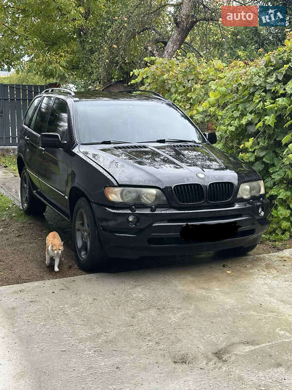 BMW X5 2002 BMW X5 2002