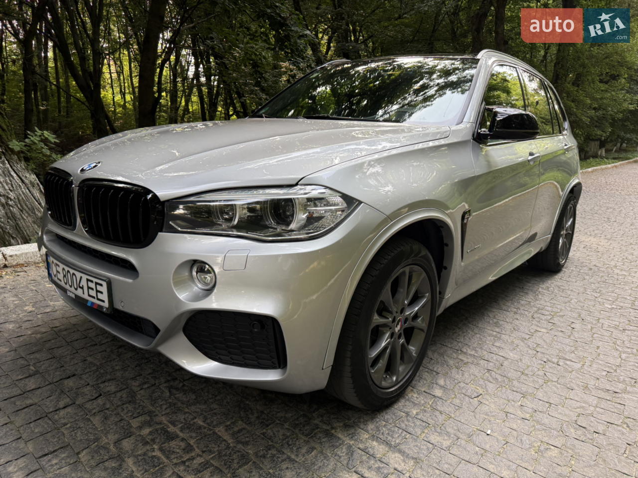 2019 BMW X5 - мініатюра 28