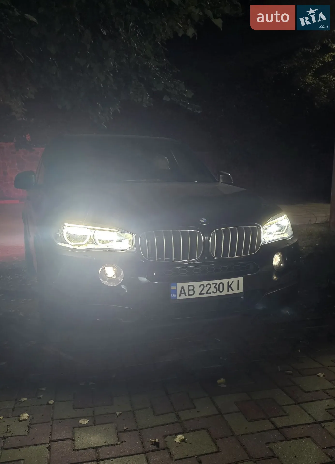 2015 BMW X5 - мініатюра 66