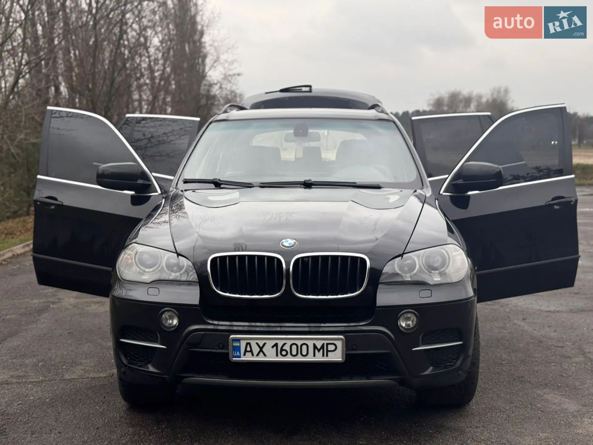 2010 BMW X5 - мініатюра 9