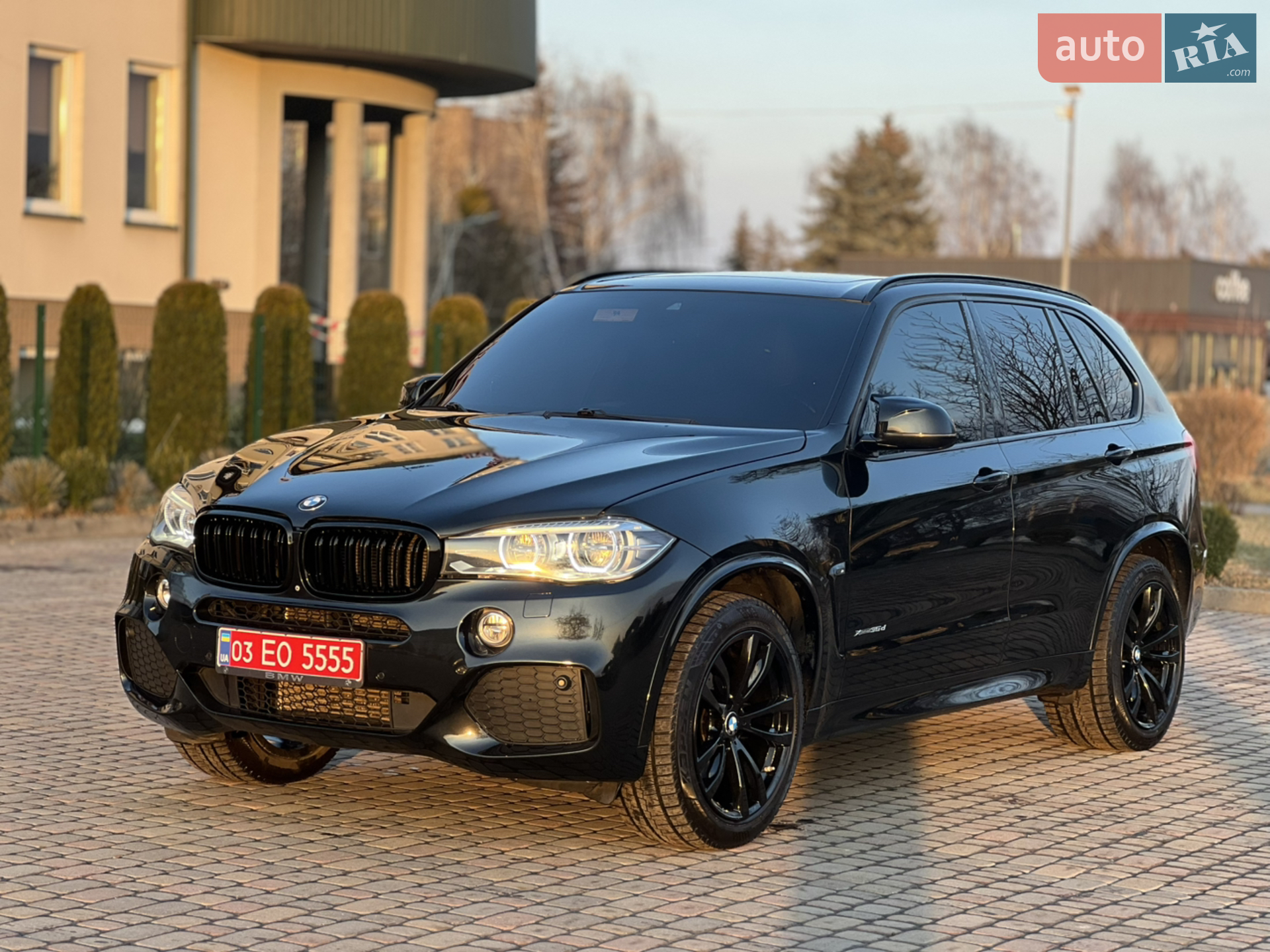 2014 BMW X5 - фото 1