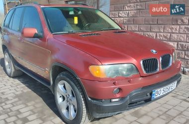 Внедорожник / Кроссовер BMW X5 2002 в Вишневце
