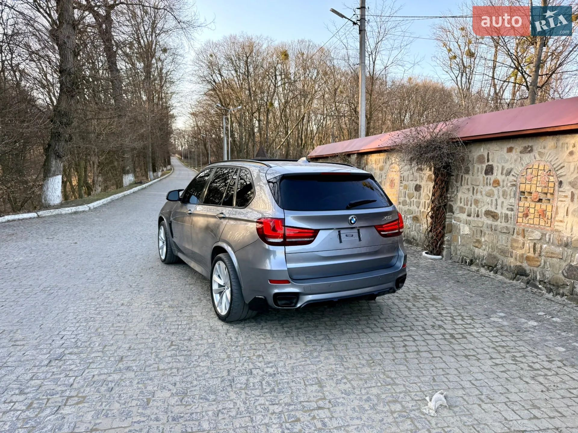2014 BMW X5 - мініатюра 18