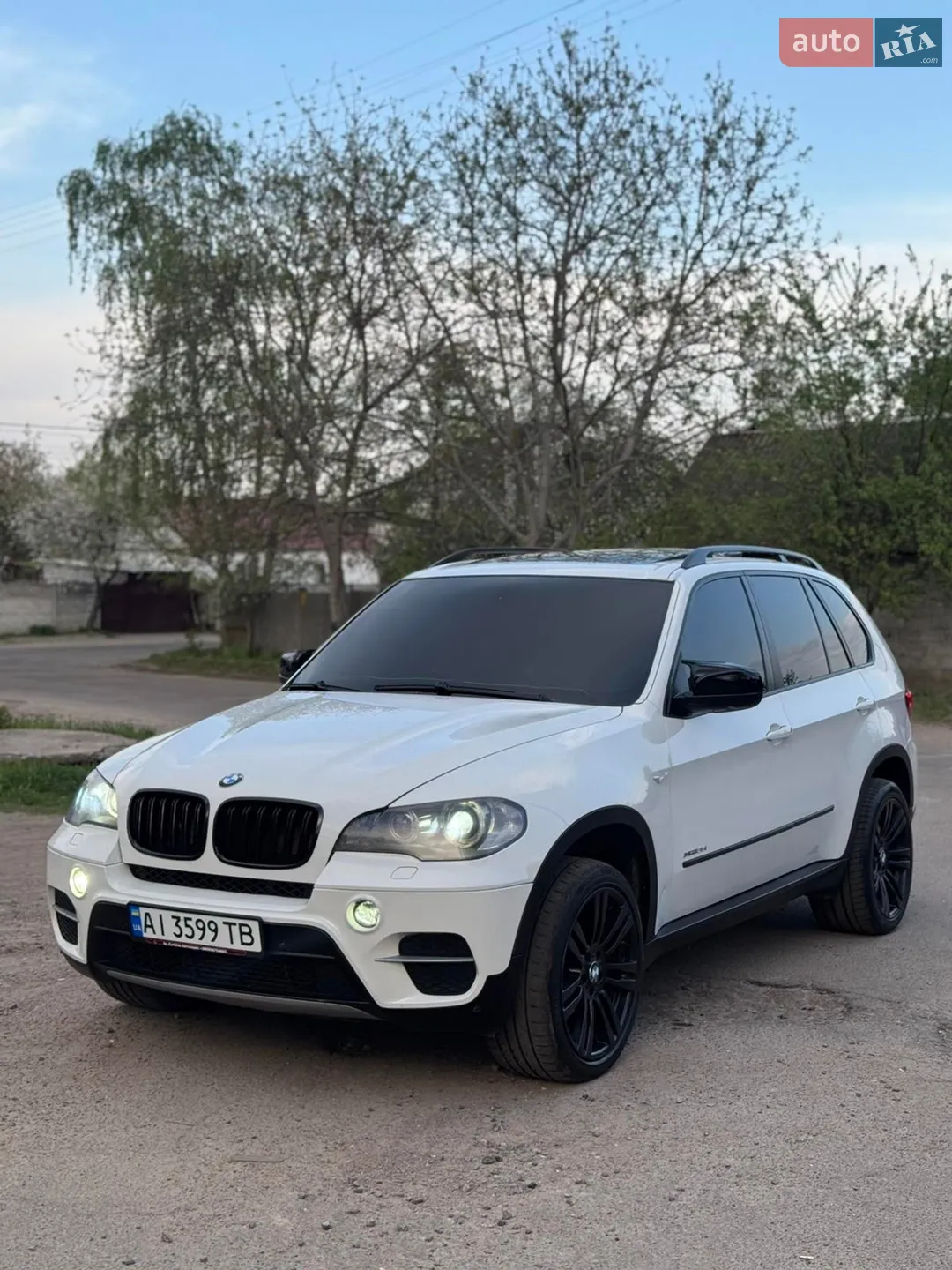2010 BMW X5 - мініатюра 2