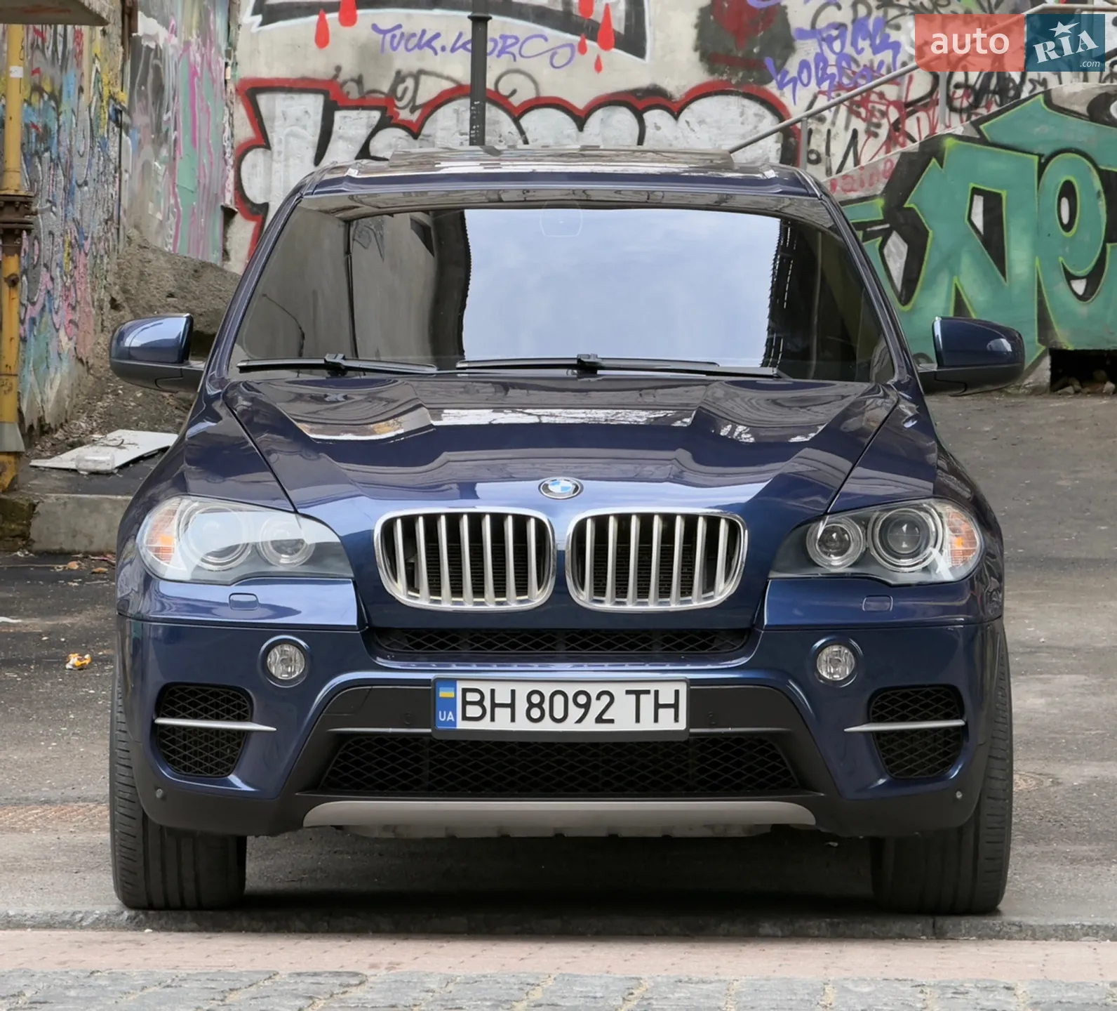 2010 BMW X5 - мініатюра 2
