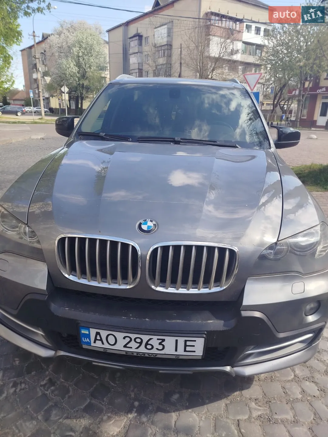 2010 BMW X5 - мініатюра 2