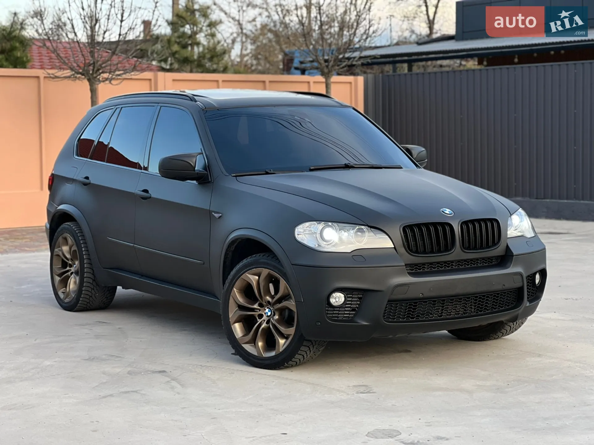 2010 BMW X5 - мініатюра 4
