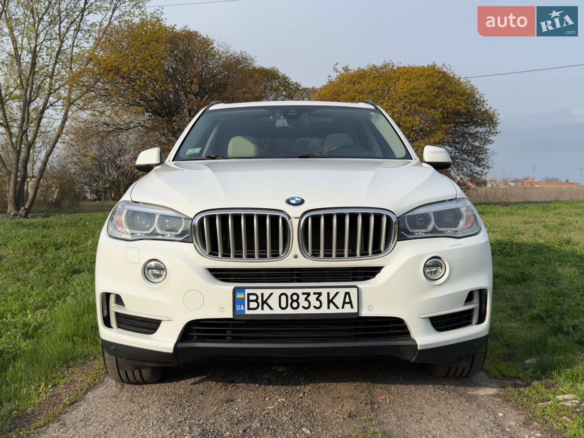 2015 BMW X5 - мініатюра 20