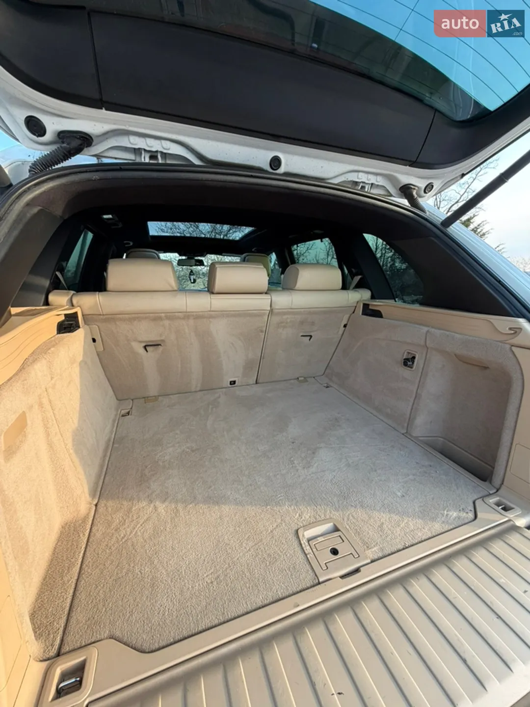2010 BMW X5 - мініатюра 9