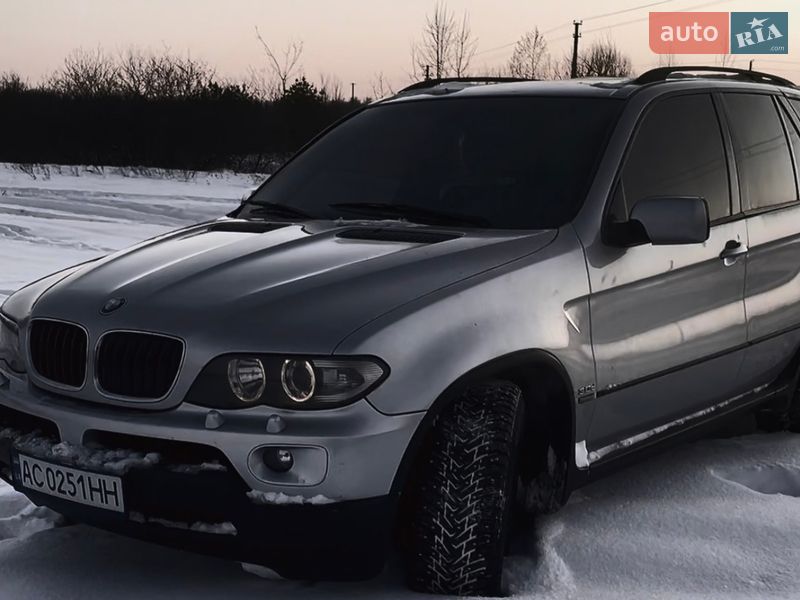 Позашляховик / Кросовер BMW X5 2004 в Березному