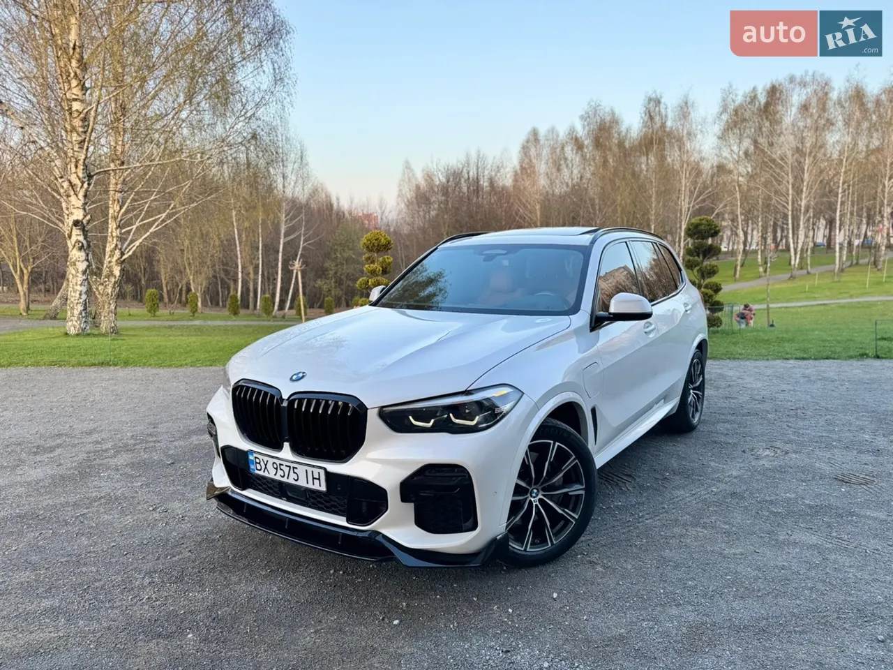 2021 BMW X5 - мініатюра 39