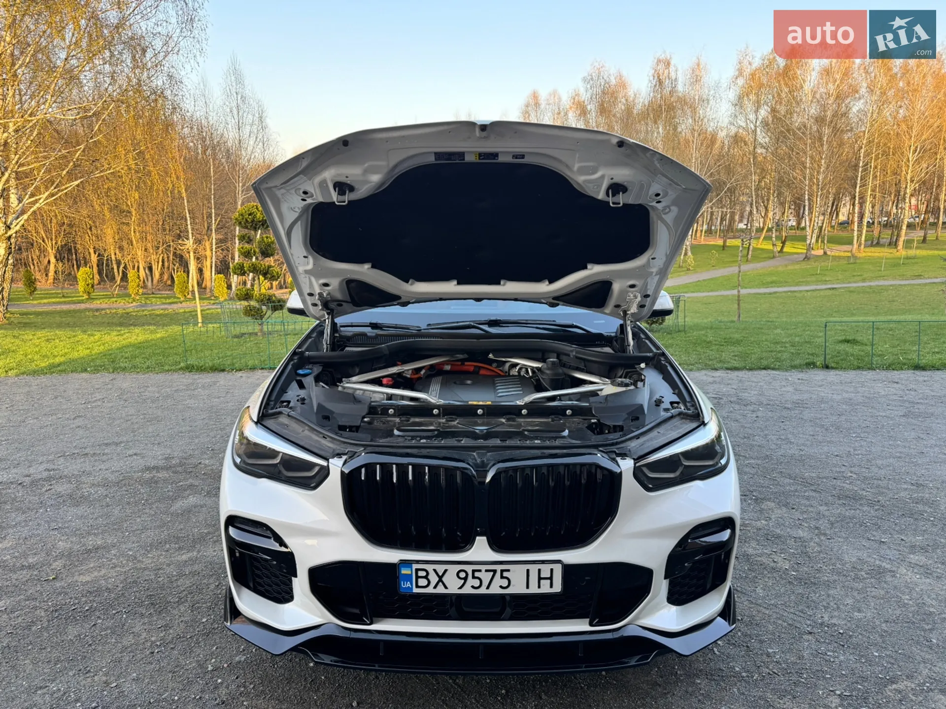 2021 BMW X5 - мініатюра 21