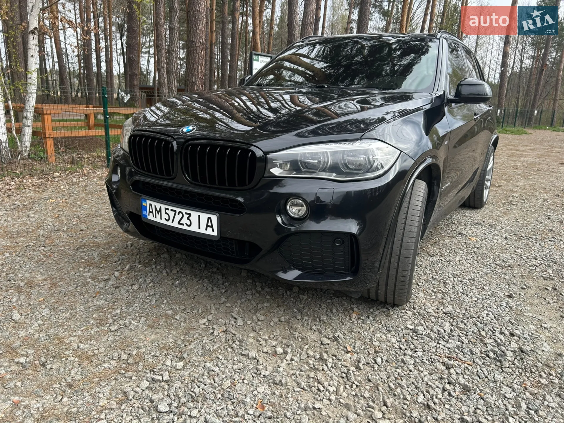 2015 BMW X5 - мініатюра 2