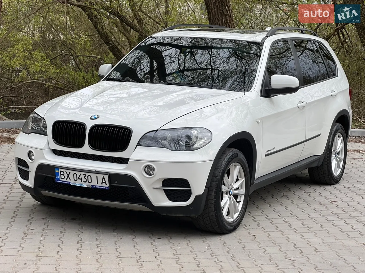 2010 BMW X5 - мініатюра 68