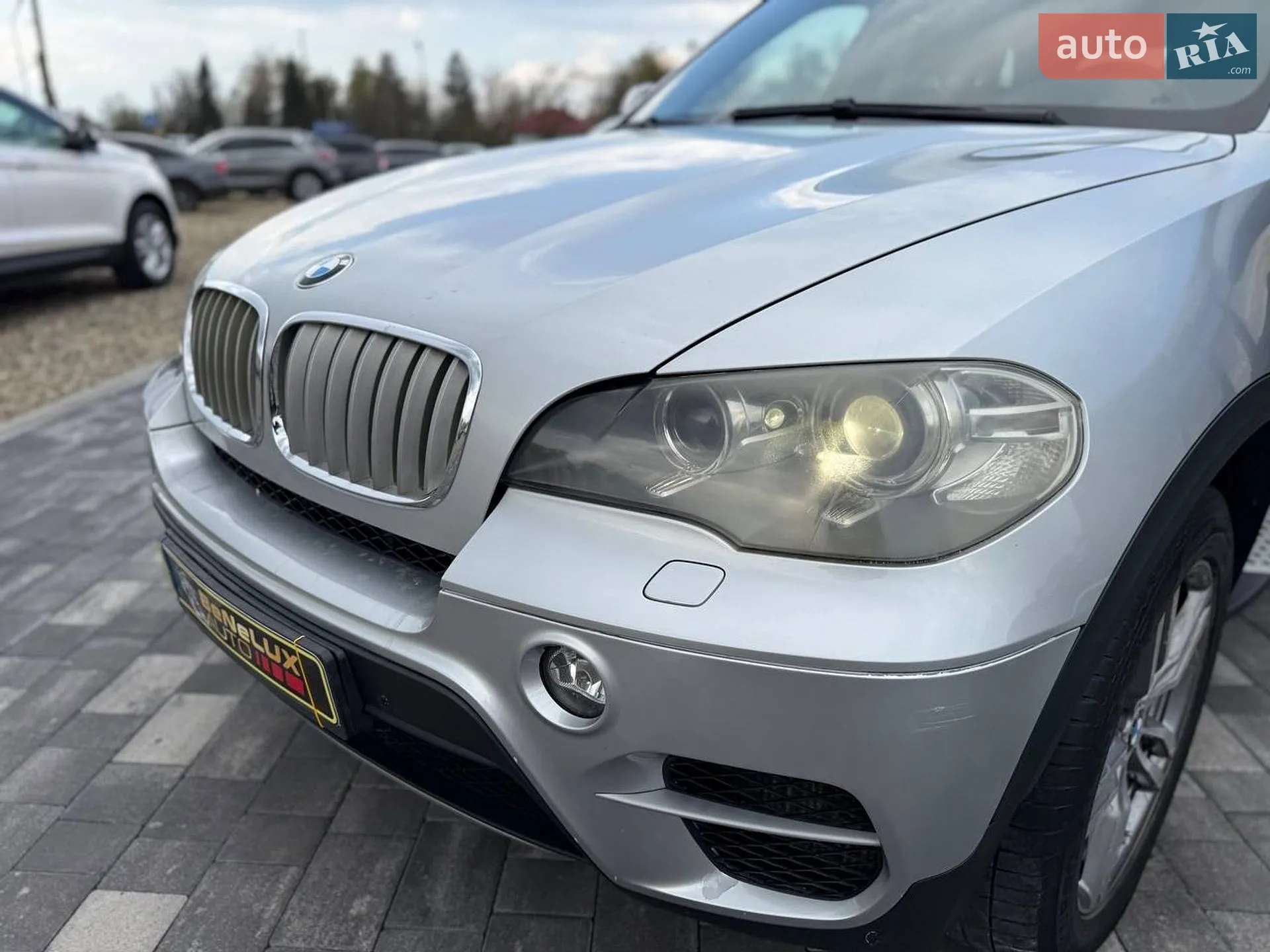 2010 BMW X5 - мініатюра 11
